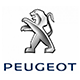 Insignias Peugeot 307